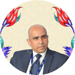 <h3>Haitham S. Hamza</h3>
<p>Professor of Information Technology</p>
<p><strong>Cairo University</strong></p>
